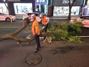 제주 강풍 경보 올레길 구간 선택 산책 속도 조절_19