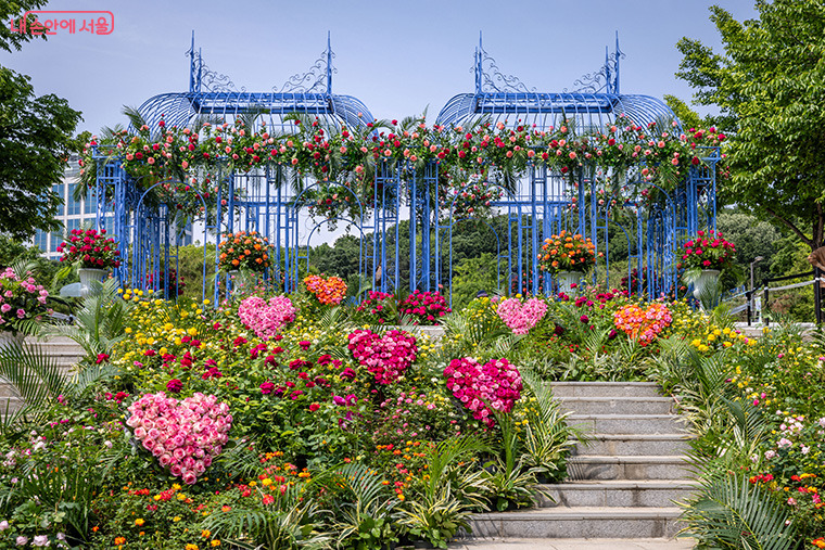 보라매공원 정원 박람회