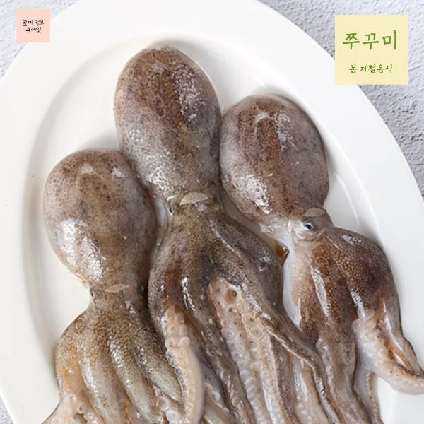 봄 제철음식 10가지