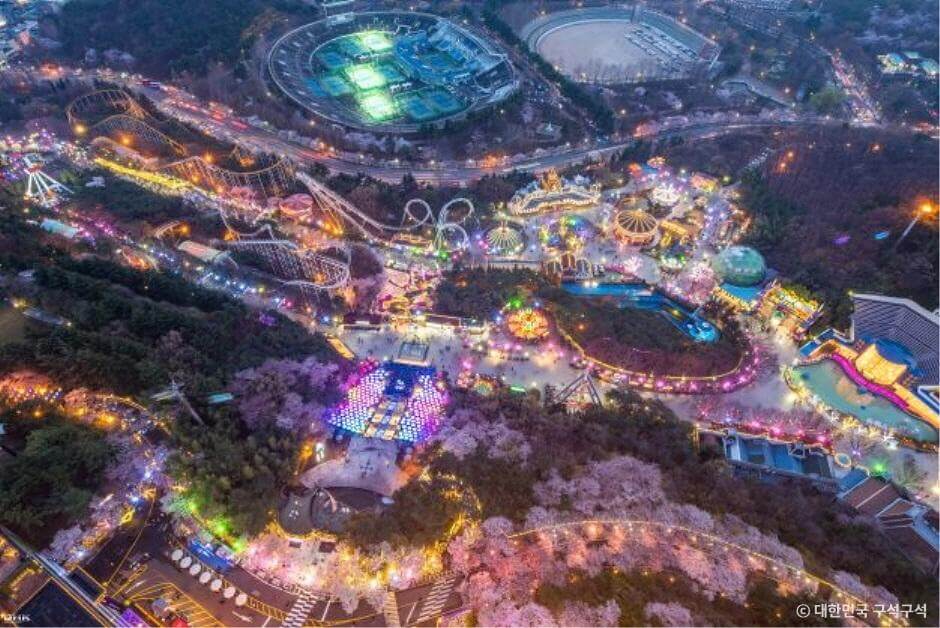 2025년봄꽃개화시기