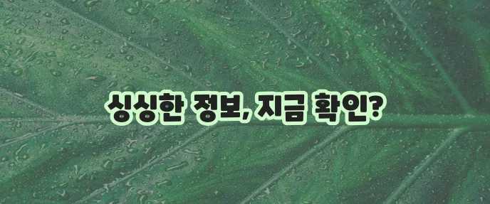 6시내고향 홈페이지 바로가기