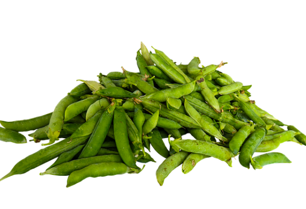 완두콩 섭취 시 주의해야 할 부작용