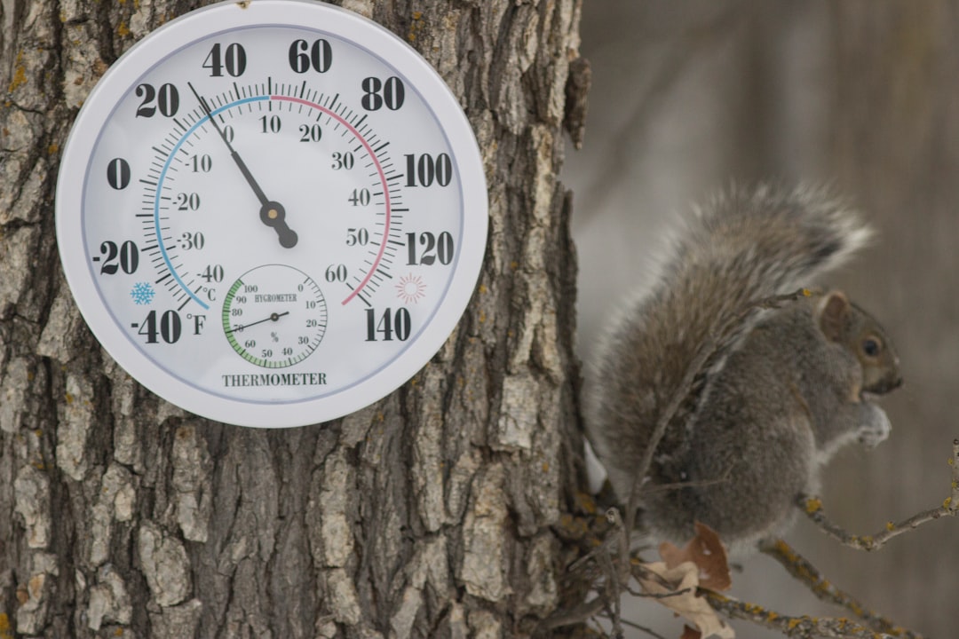 Thermometer