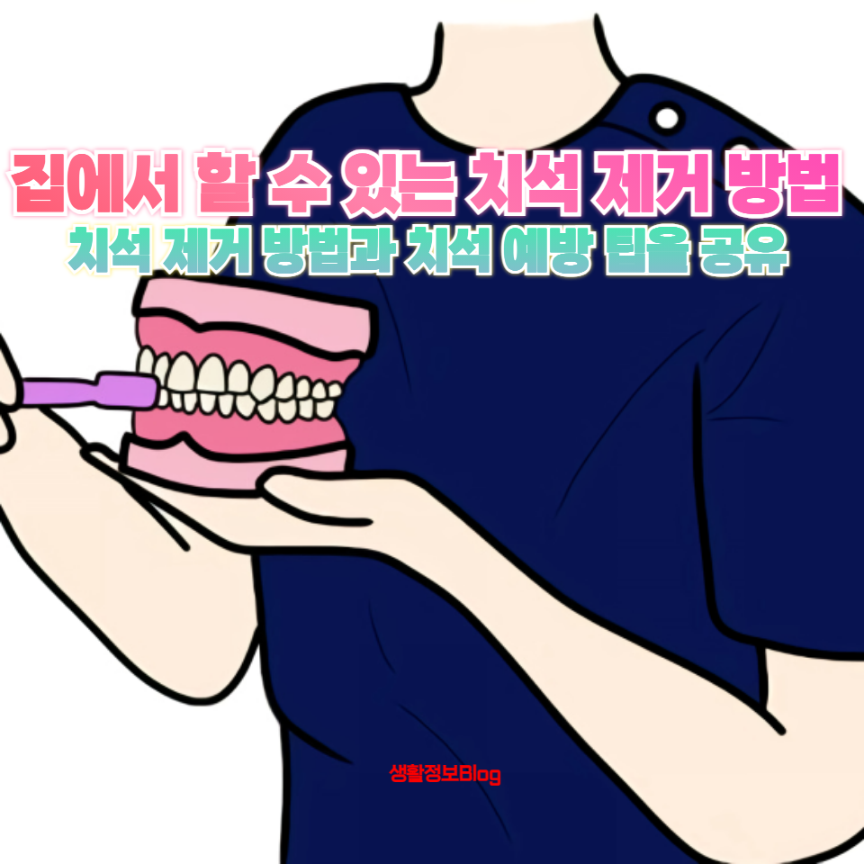 집에서 할 수 있는 치석 제거 방법을 찾고 계신가요?