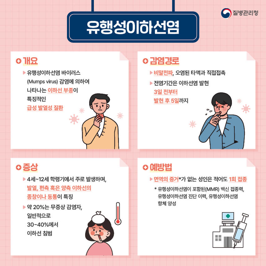 카드 뉴스