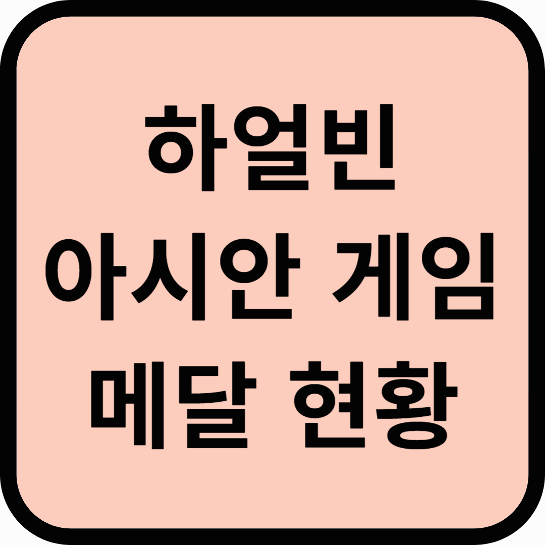 2025 하얼빈 아시안게임 메달 현황