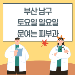 부산 남구 토요일 일요일 피부과 진료 병원 리스트