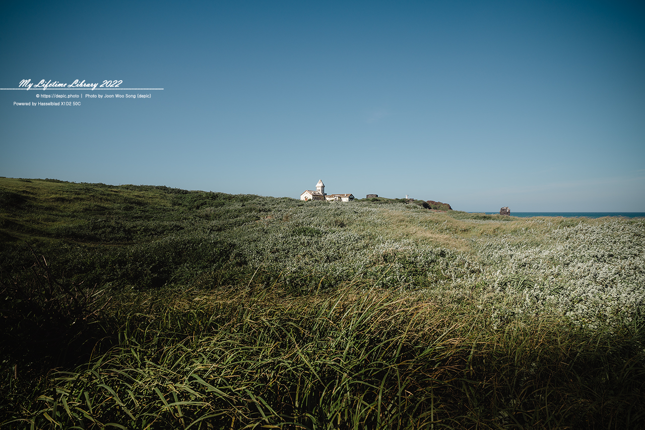 #제주 #섭지코지 #2022제주여행