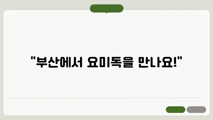 부산강아지무료분양 요미독