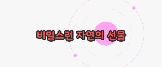 황칠나무 효능 무슨 내용인지 살펴보죠