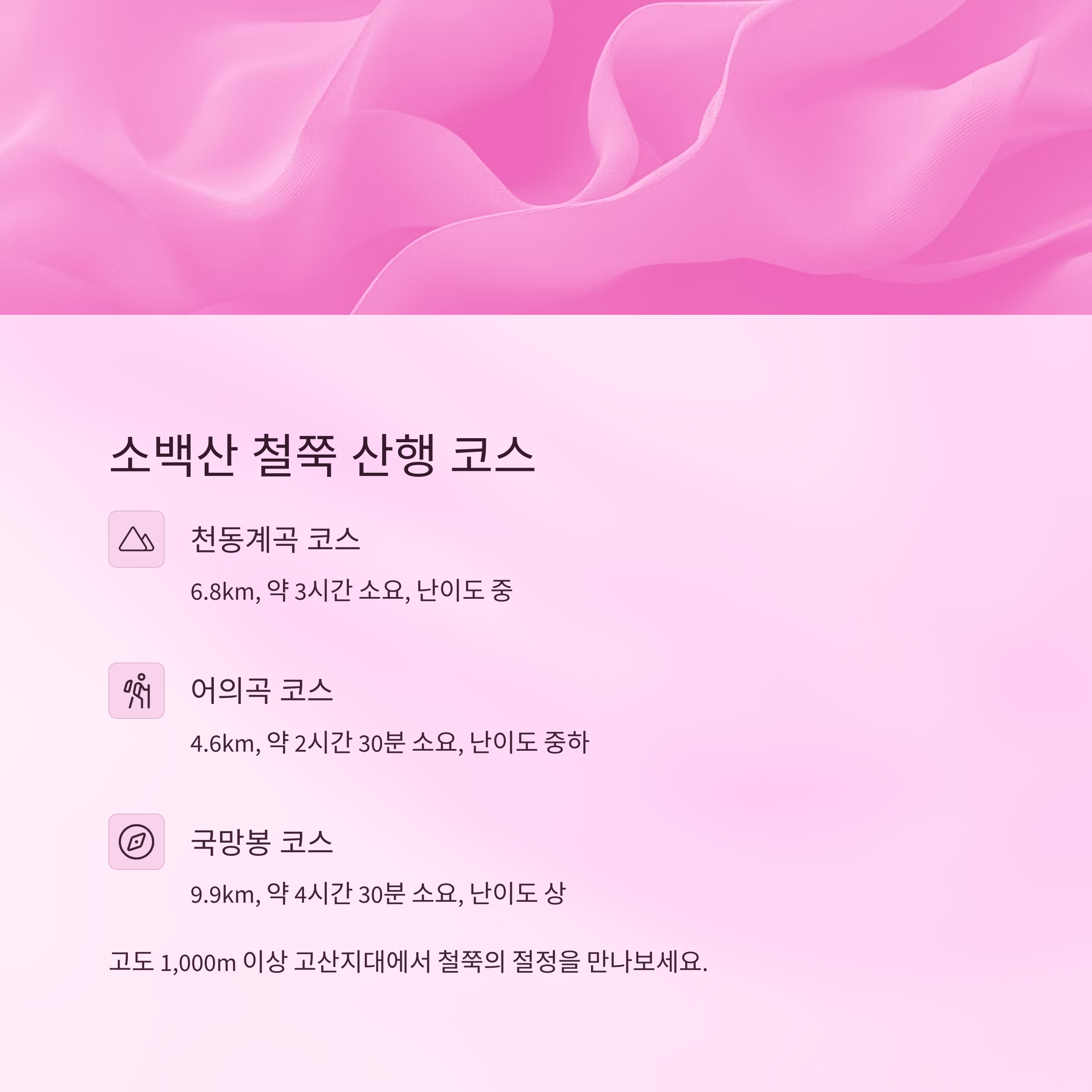 텍스트이미지