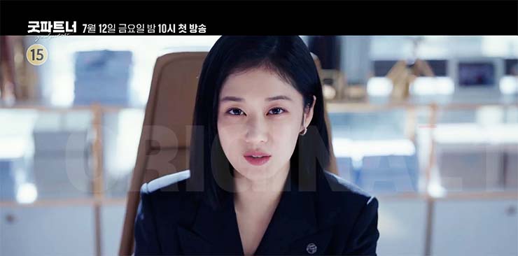 굿파트너 줄거리 & 등장인물