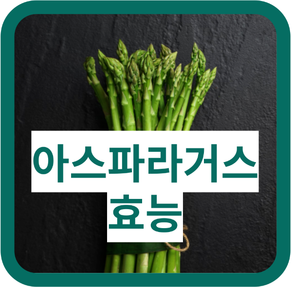 아스파라거스의 효능