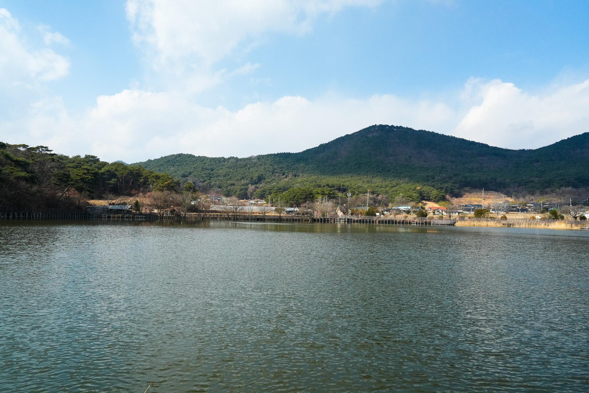 2025 봄꽃 축제 취소 연기 지역