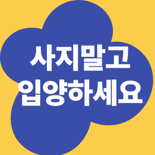 강아지 안구 돌출? 루키의 눈 상태, 병원 진단 후기
