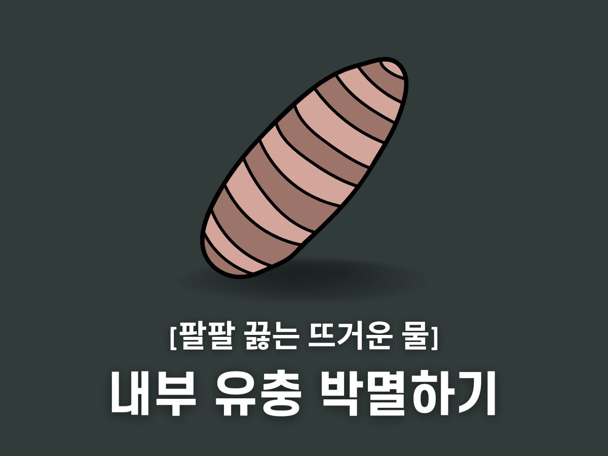 초파리 알 박멸