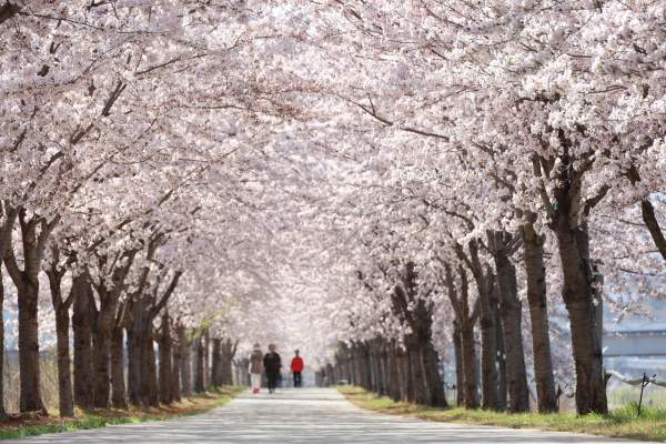 &lsquo;왕사남&rsquo;&amp;#44; 1600만 관객 돌파