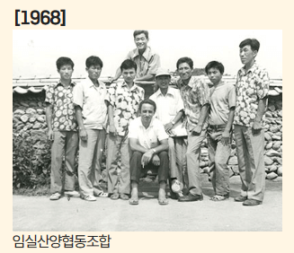 유래3
