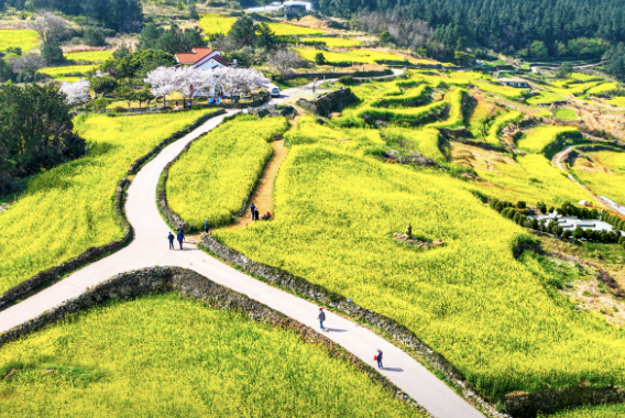 2025 추석연휴 전라남도 가볼만한 곳 BEST 5