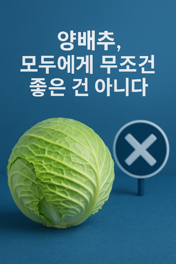 양배추가 모든 사람에게 좋은 건 아니다? 반드시 알아야 할 양배추 주의사항