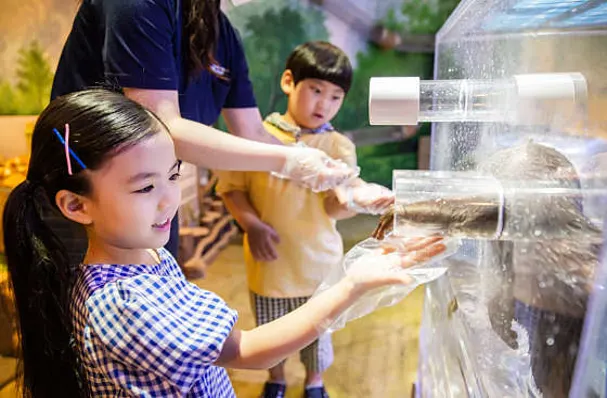 아르티스테마파크