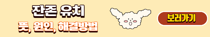 잔존유치 뜻&#44; 원인&#44; 해결방법