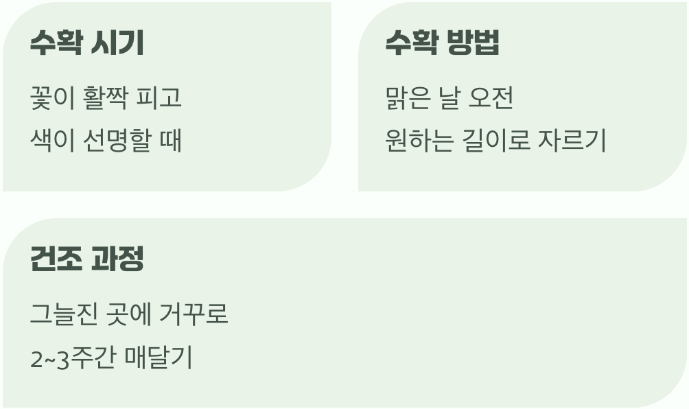 변치 않는 아름다움을 수확하는 시간