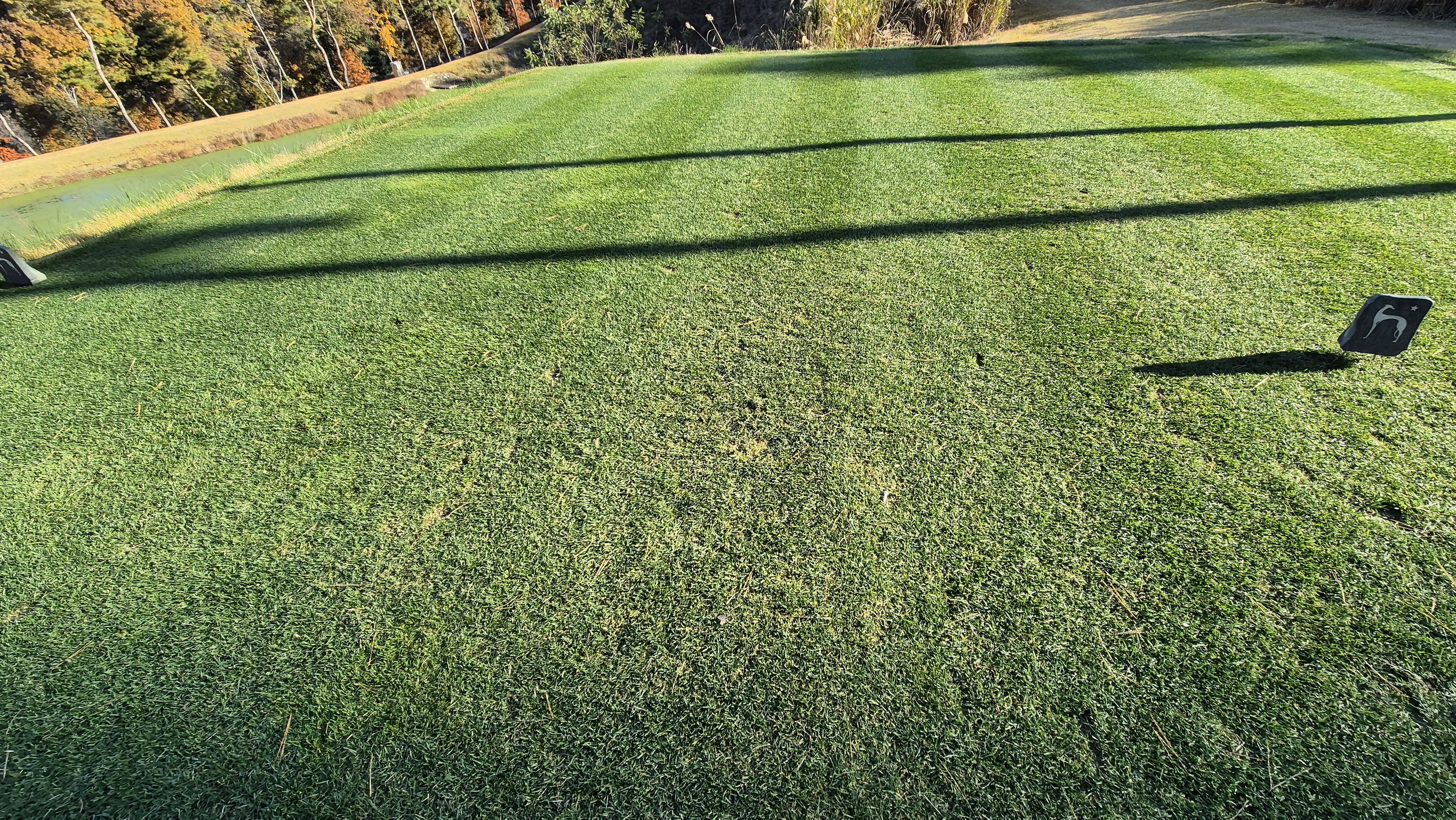 레이캐슬cc 티잉구역 상태