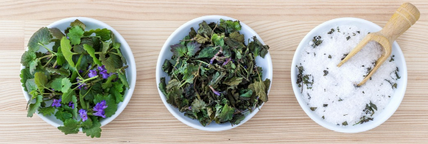 소금과 식재료 이미지