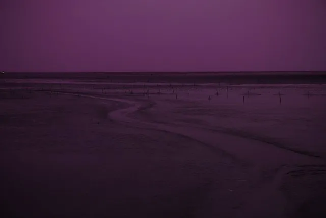 봄꽃 여행 성지 충남 서산 명소 BEST5_7