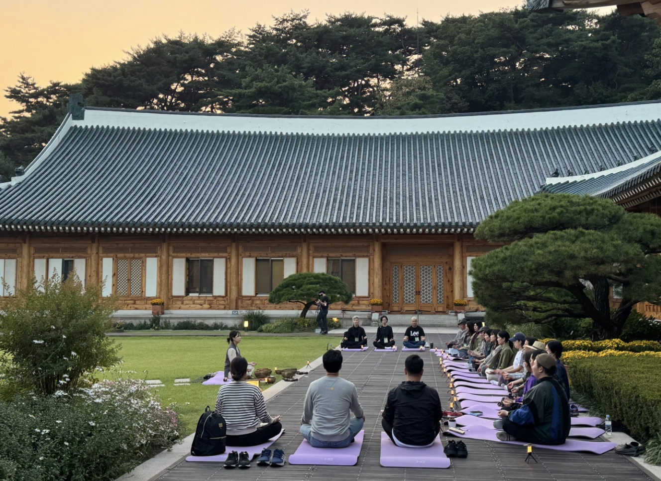 2025 청와대 밤마실&amp;#44; 6일간의 특별한 개방 봄밤 특별한 산책 예약 시작