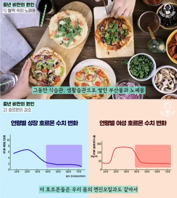 연령별 여성 호르몬 수치변화