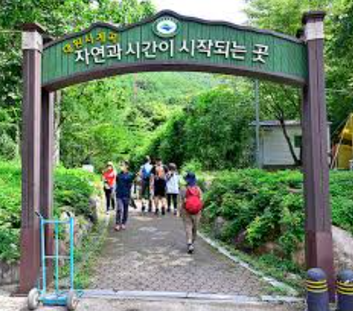 대원사 계곡