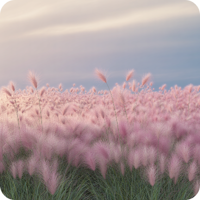 고창청농원 핑크뮬리 축제 가상 이미지