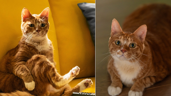 좀비딸 영화 스틸컷 이미지 2