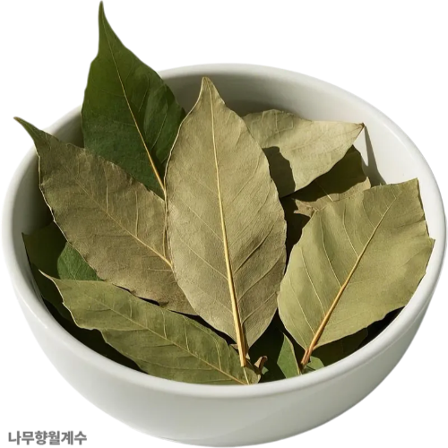 월계수잎