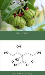 가르시니아다이어트