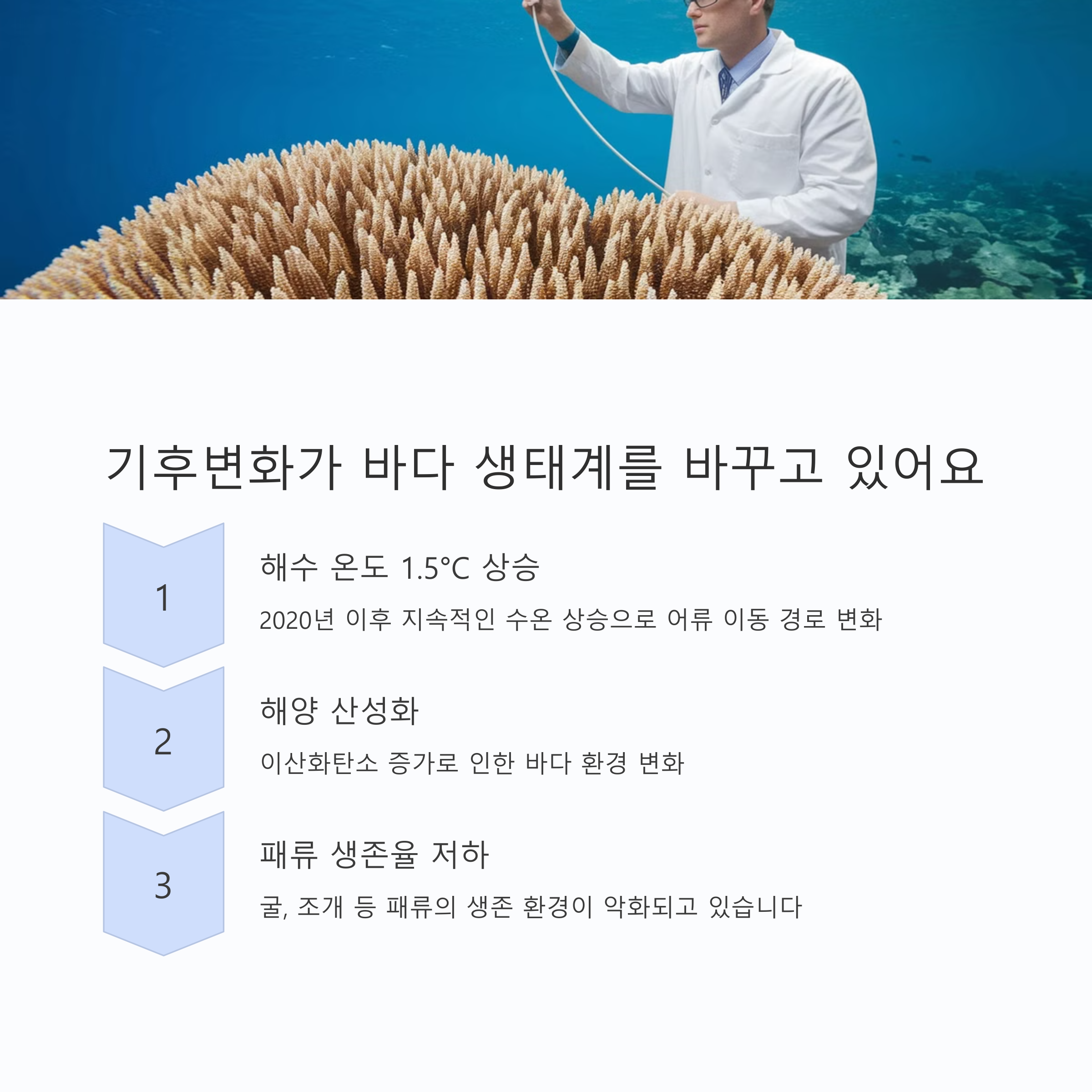 피쉬플레이션의 시대! 우리의 대응책은?