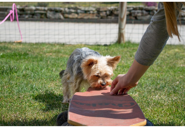 하루 동안 만난 작은 친절 기록