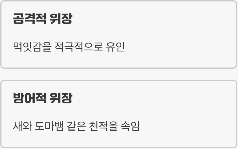 천적을 속이는 완벽한 위장술