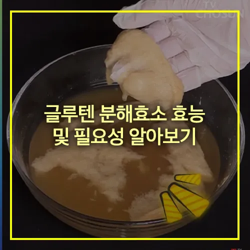 글루텐 분해효소 효능