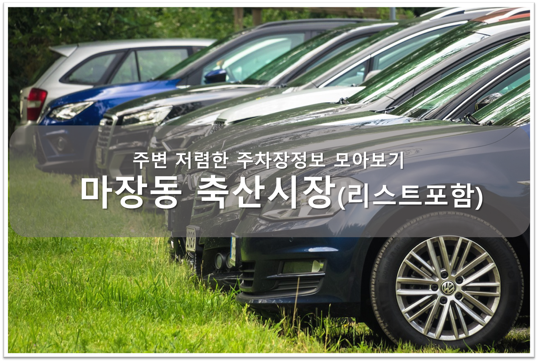 마장동 축산시장