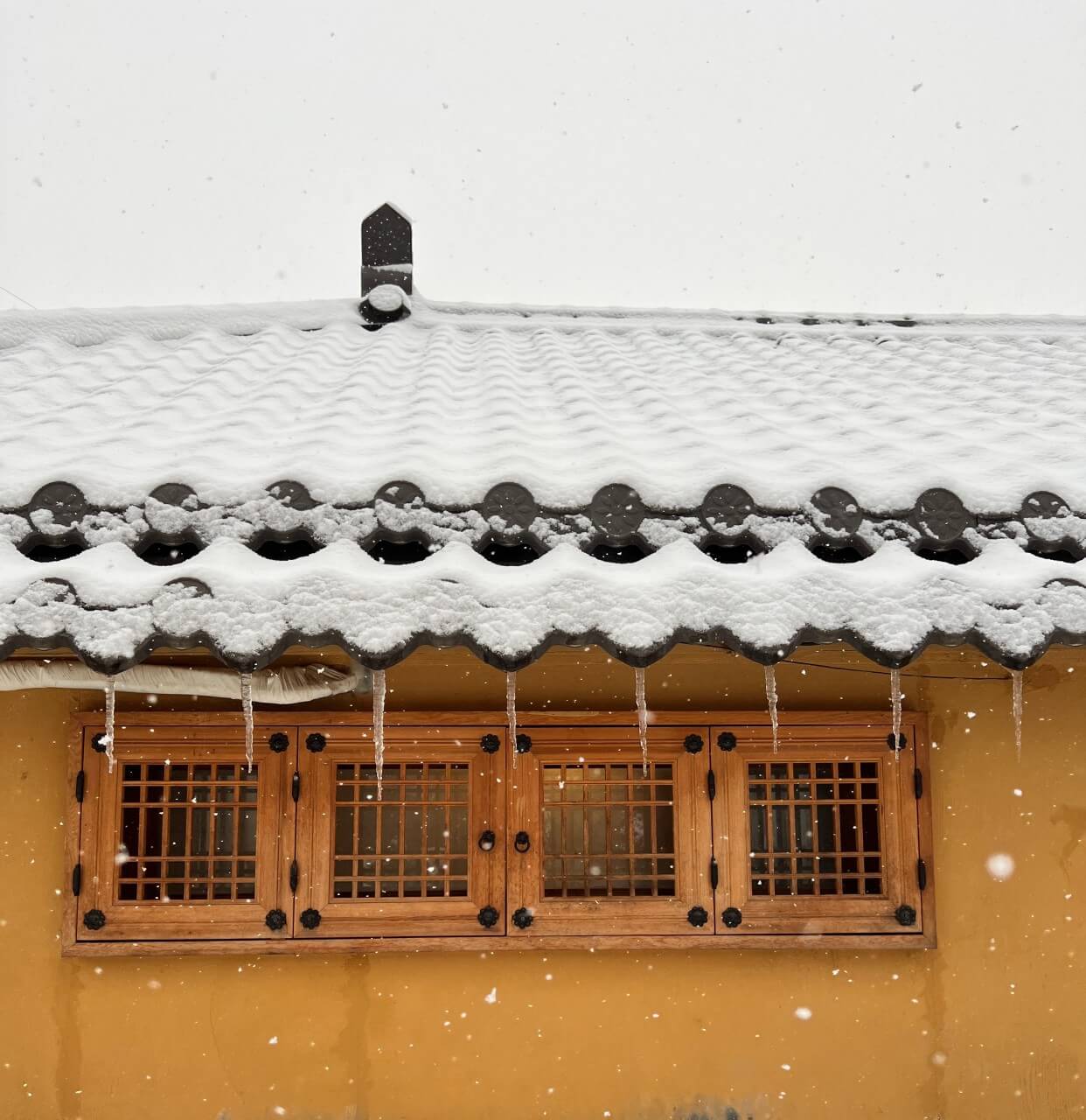 생방송오늘저녁 용인 한옥카페 시골 핫플레이스