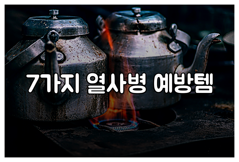 7가지 열사병 예방템