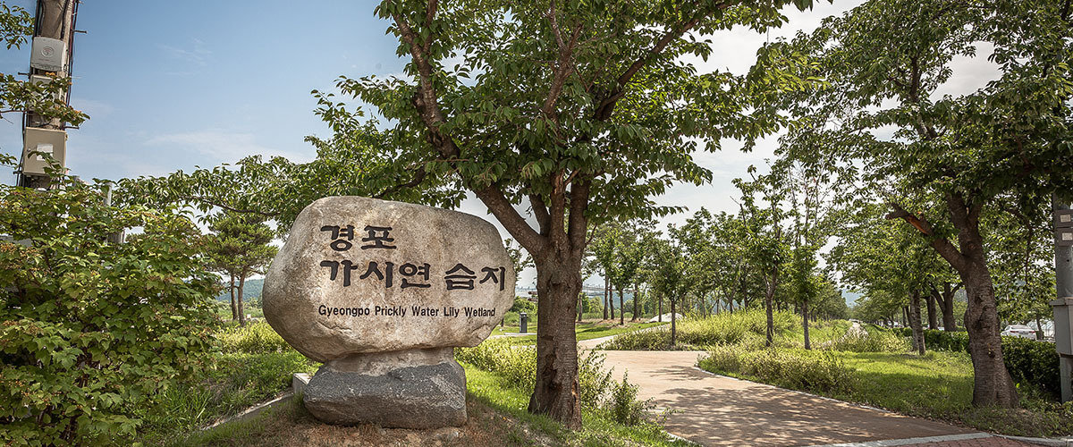 강릉 경포생태습지