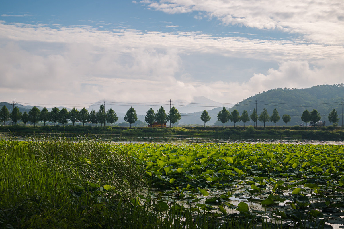 세미원 신양수대교 아래에서