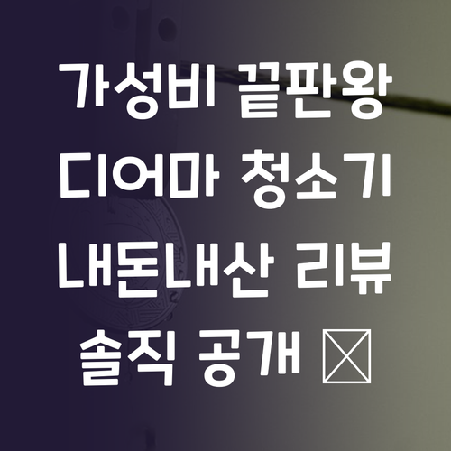 가성비 끝판왕 디어마 청소기, 내돈내..