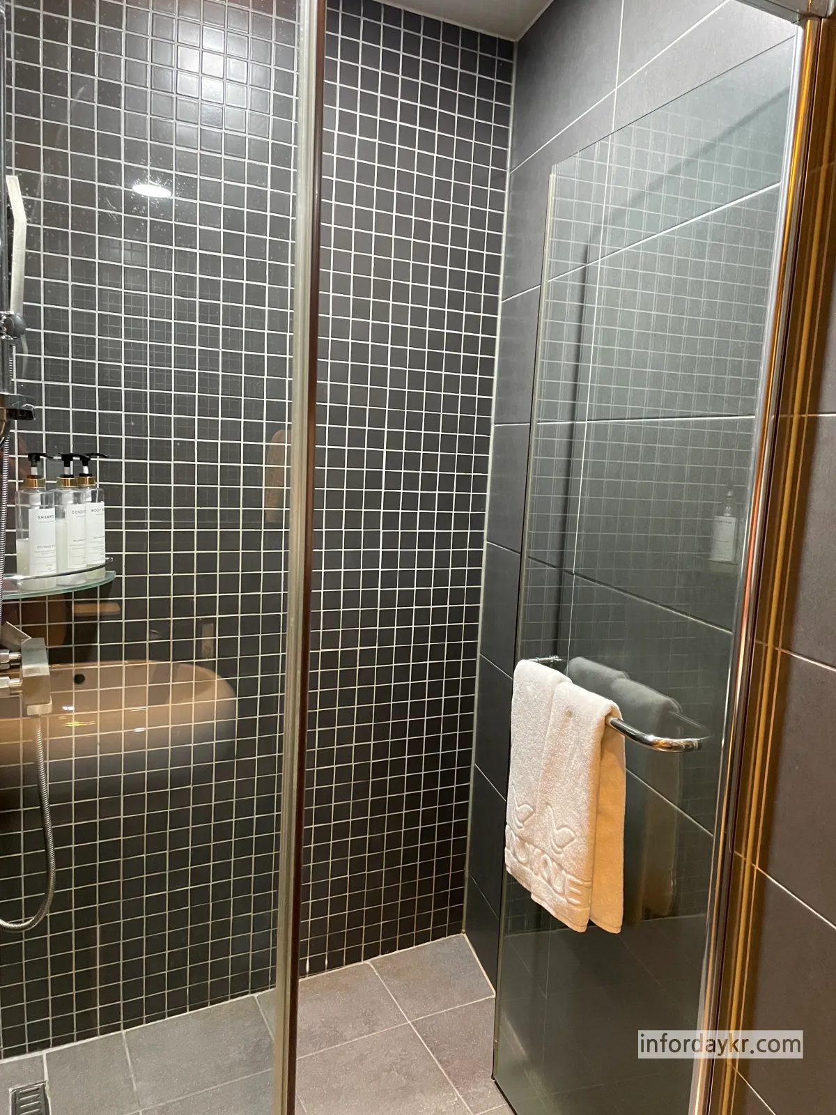 호텔라뮤에뜨-샤워실