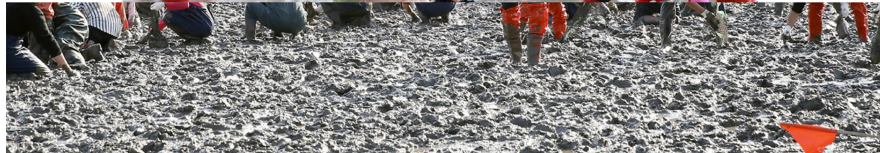 벌교 꼬막축제 2025