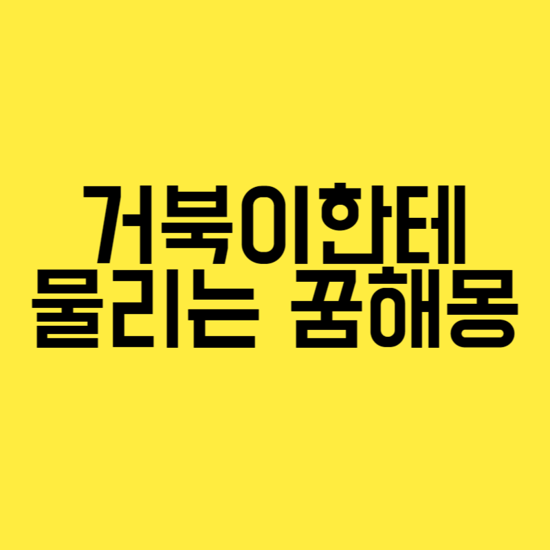 거북이한테 물리는 꿈해몽